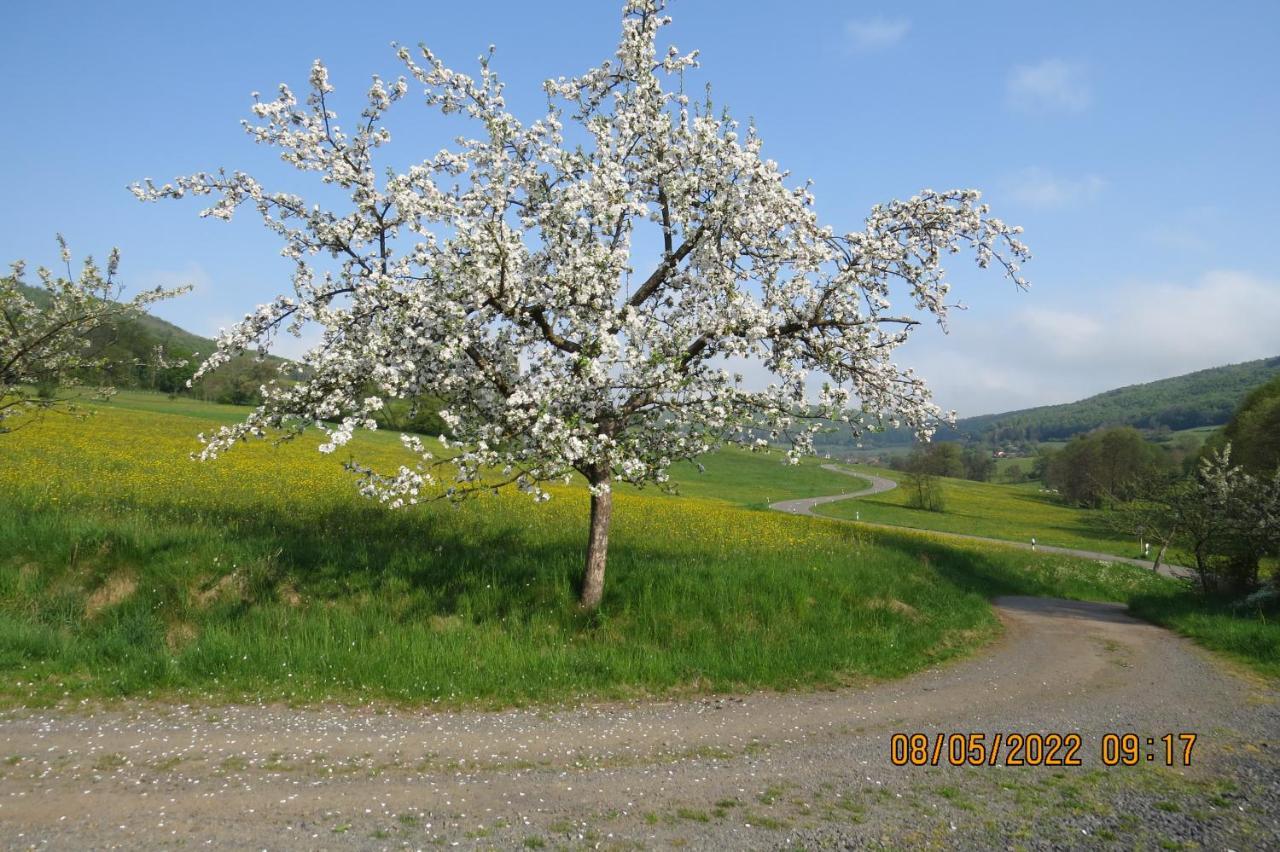 Ferienwohnung Rhön Kaltennordheim Exterior foto